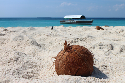 ślub na zanzibarze - kokos